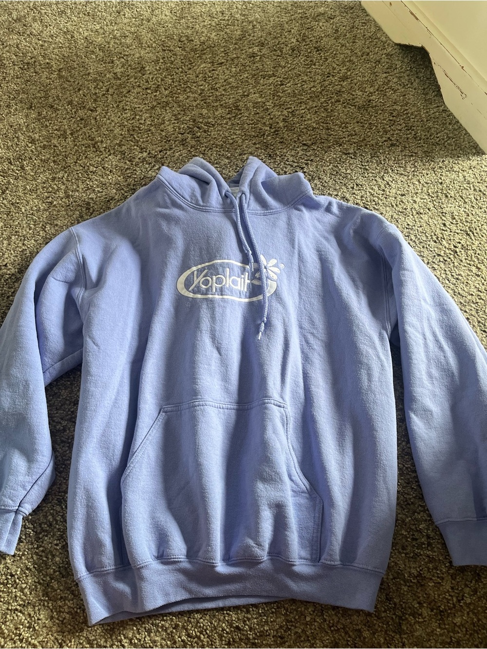 Women’s Hooded Sweatshirt (Gildan Heavy Blend)